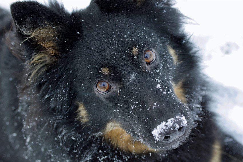 01 ihmisenparasysta--va--.jpg